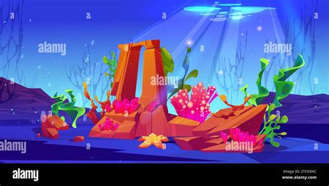 Seabed With Bright Underwater Corals Stones And Algae Cartoon Vector