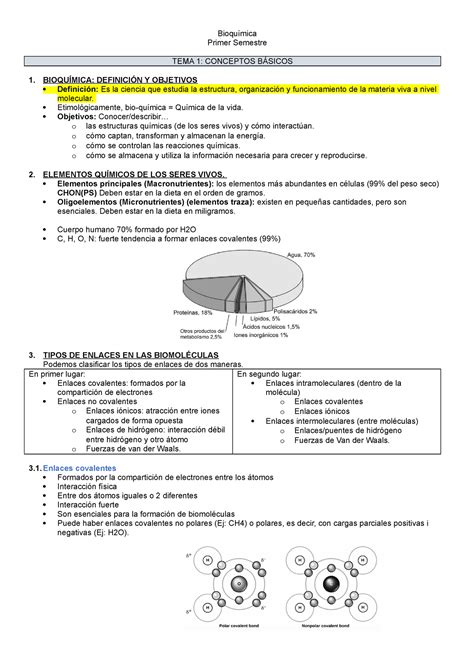 Bioquímica TEMA 1 Bioquímica Primer Semestre TEMA 1 CONCEPTOS