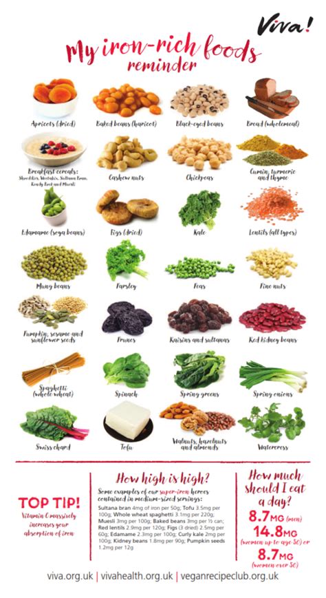 Iron Rich Foods List In Hindi At Howardbwilson Blog