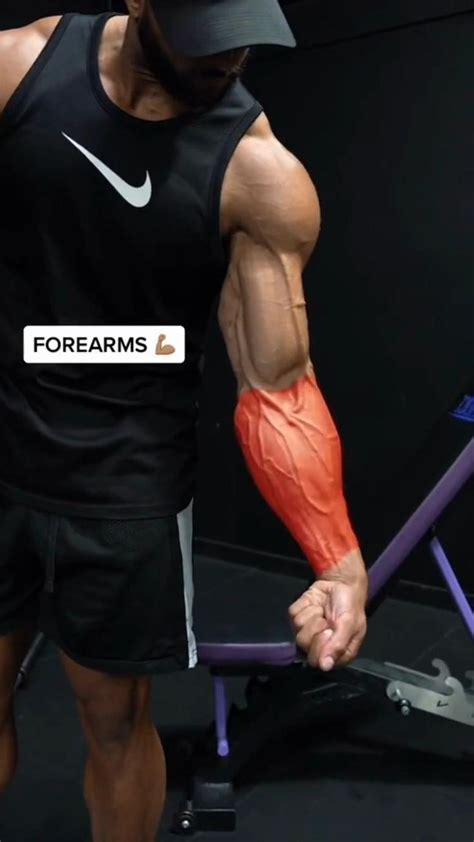 Forearms Workouts | 아령 운동, 근육 만들기, 남자 운동