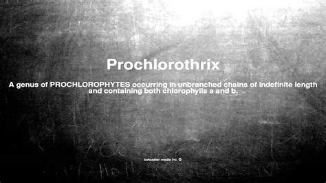 Medical vocabulary: What does Prochlorothrix mean - YouTube