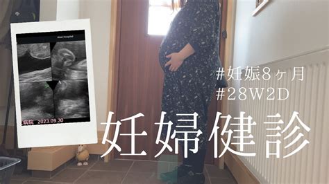 【妊婦健診】妊娠8ヶ月｜28w2d｜胎児スクリーニング検査｜胎児スクリーニング再検査｜心電図検査｜経膣エコー｜妊娠糖尿病検査結果 Youtube