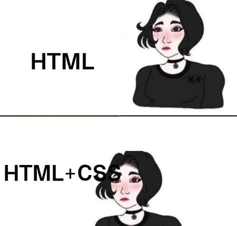 HTML + CSS – ProgrammerHumor.io