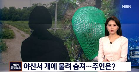 50대 여성 대형견에 물려 숨져경찰 주인 찾는 데 주력