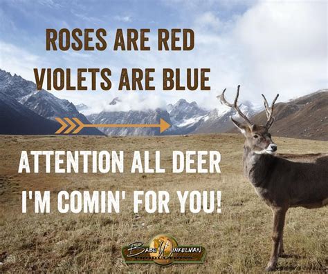 Funny Deer Hunting Quotes And Sayings - ShortQuotes.cc