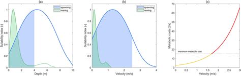 Winter‐run Chinook Salmon Spawning And Rearing A Depth B Velocity