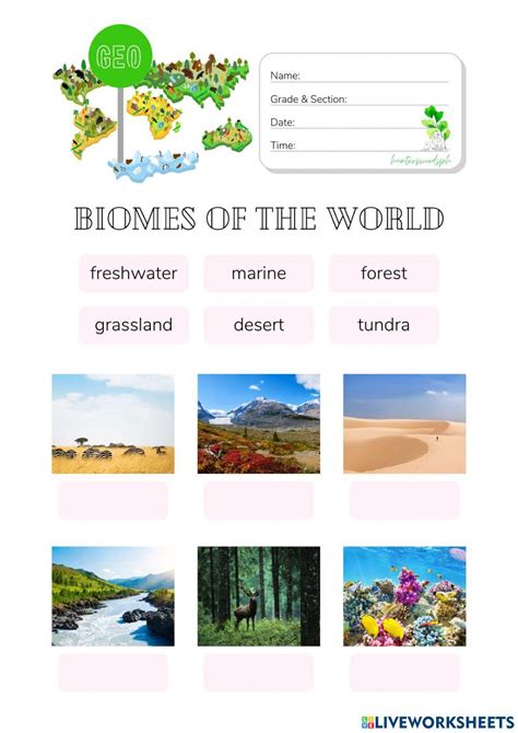 Major Biomes Worksheet Matching Hunterswoodsph Worksheet