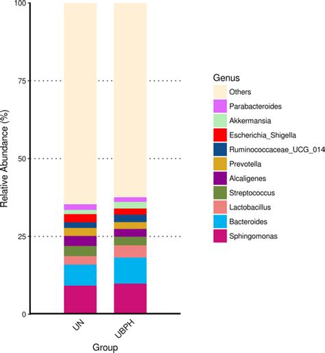 The Impact Of Urine Microbiota In Patients With Lower Urinary Tract