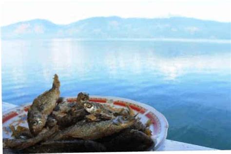 Legenda Wisata Danau Singkarak Sumatra Barat, Peta Lokasi + Penginapan Terdekat – Dolan Yok