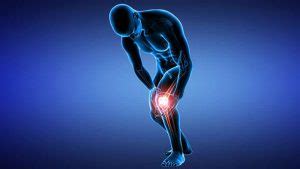 What is Patellar Tendonitis, Stretches, Exercises, and Prevention