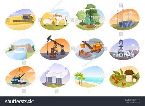 Illustrations Depicting Types Natural Resources Stock Vector (Royalty ... 