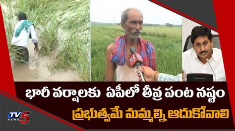 Farmers Problems In Ap Crops Damaged Due To Heavy Rains In Andhra