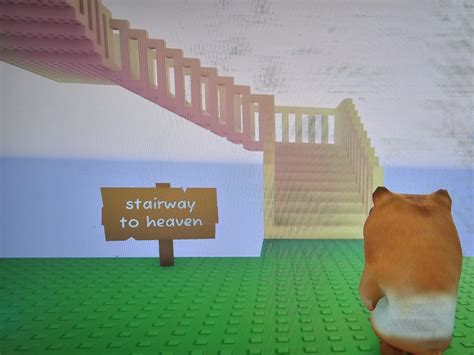 Hate these stairs : r/PetSimulator99