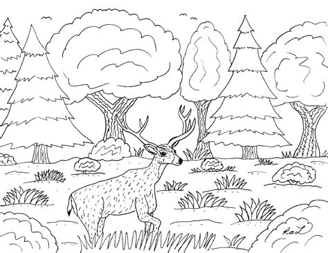 Mississippi River Coloring Page At Getdrawings Free Download