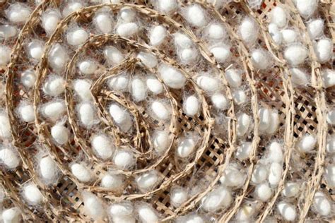 megeri az arat  selyem parnahuzat luxus  mindennapi rutinodban