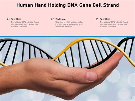 DNA Ppt Template Molecular Structure Puzzle Pieces Ppt PowerPoint ...