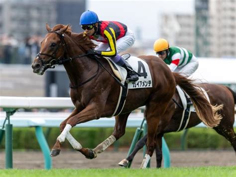 【東スポ杯2歳s】ガイアメンテ、シュトラウスらが登録 競馬ニュース Netkeiba