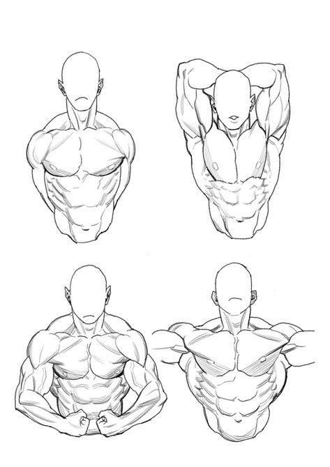 Id Es De Dessin Anatomie Dessin Anatomie Dessin Croquis D Anatomie