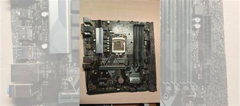 Материнская плата asus prime B365M-A сокет 1151v2 купить в Гатчине с ...