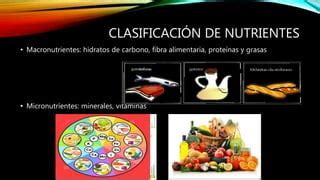 Los Nutrientes Presentaci N Ppt