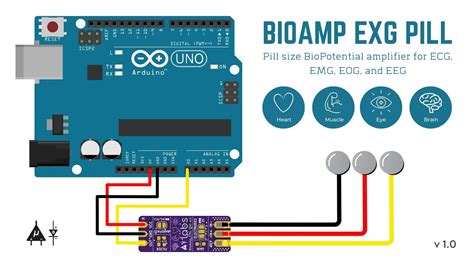 Bioamp Exg Pill V10 Details