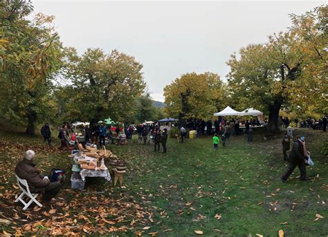 Domenica 30 Ottobre Torna La Festa Del Pane Nel Bosco LoianoWeb