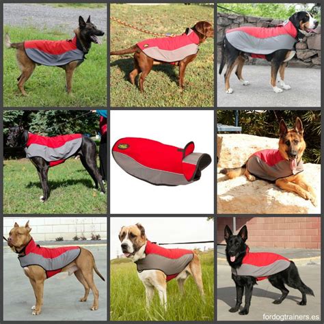 Sudadera Perro Reflectante De Nylon Capa Chubasquero Productos Para