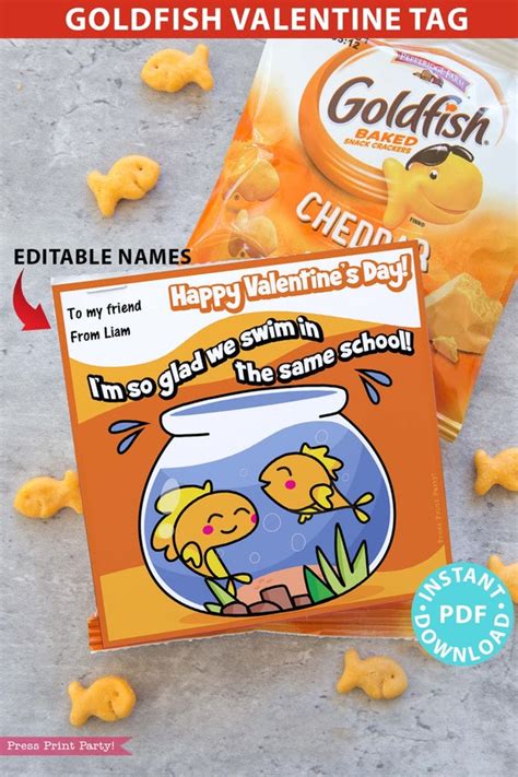 Goldfish Food For Kids