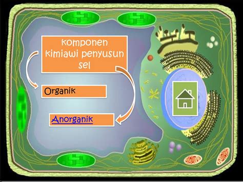 Komponen Kimiawi Penyusun Sel Berbagi Informasi