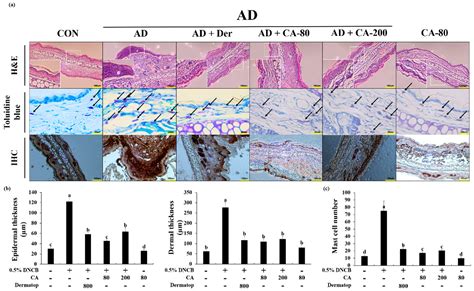 Nutrients Free Full Text Inhibitory Effect Of Centella Asiatica