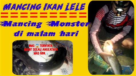 Mancing Ikan Lele Mancing Monster Di Malam Hari Youtube