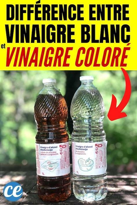 Quelle Est La Diff Rence Entre Le Vinaigre Blanc Et Le Vinaigre Color