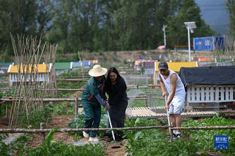 河北隆化：“共享农场”绘就乡村振兴新画卷 新华网