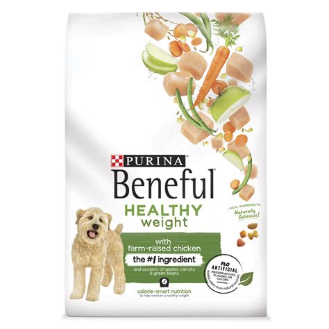 Healthy Food Dogs Can Eat | ppgbbe.intranet.biologia.ufrj.br