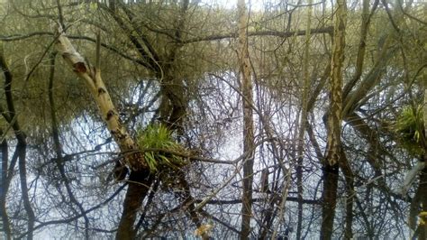 Flooded Lake In Warren Gorge Adrian Benn Geograph Britain And Ireland