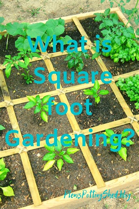 What Is Square Foot Gardening Artofit