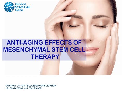 Anti Aging Effects Of Mesenchymal Stem Cell Therapy Global Stem Cell Care