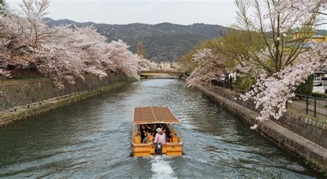 23 Photos Showing Kyoto's Cherry Blossoms in Bloom