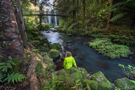 Visit Whangarei: Best of Whangarei, Northland Travel 2023 | Expedia Tourism