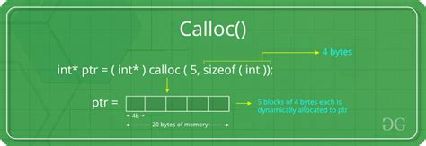 Dynamic Memory Allocation In C Using Malloc Calloc Free And