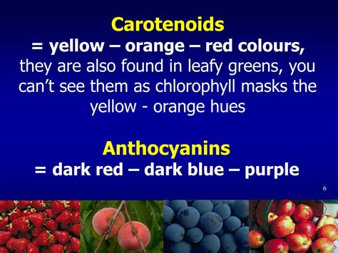 Ppt Plant Foods And Disease Prevention Phytochemicals Powerpoint