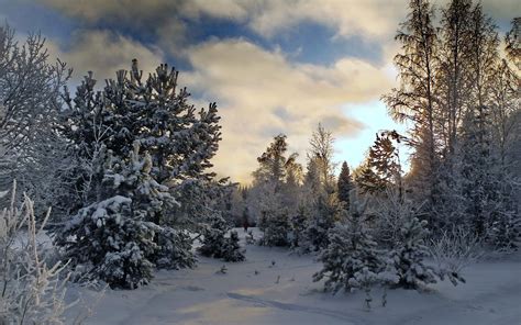 🔥 [50+] Snowy Fields Wallpapers | WallpaperSafari