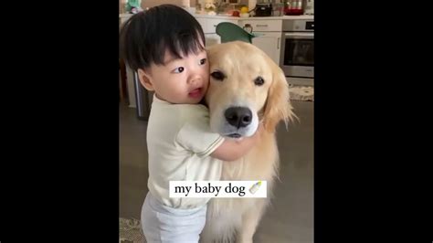 Cutest dogs video compilation ever ♥️ – HousePetsCare.com