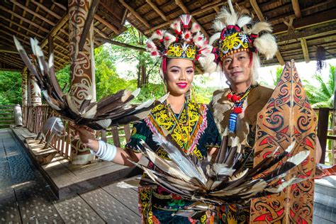 australian agents sightseeing  sarawak ttr weekly