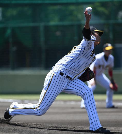 藤浪7回無失点「推薦できるような登板」矢野監督 プロ野球 日刊スポーツ