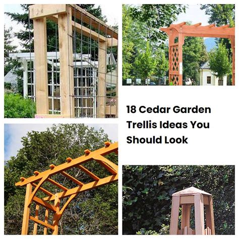cedar garden trellis ideas    sharonsable