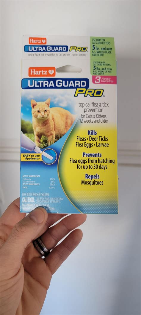 Signs A Pet Has Fleas And How To Rid Them – Femanin