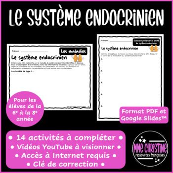 Le Syst Me Endocrinien I Activit S I Quiz I Recherche I Cl De