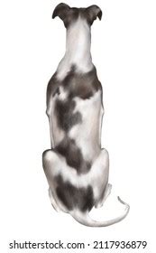 illustration dog rear view detailed drawing stock illustration