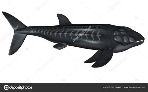 Leedsichthys Forhistoriske Fisk Isoleret Hvid Baggrund G R Stockfoto